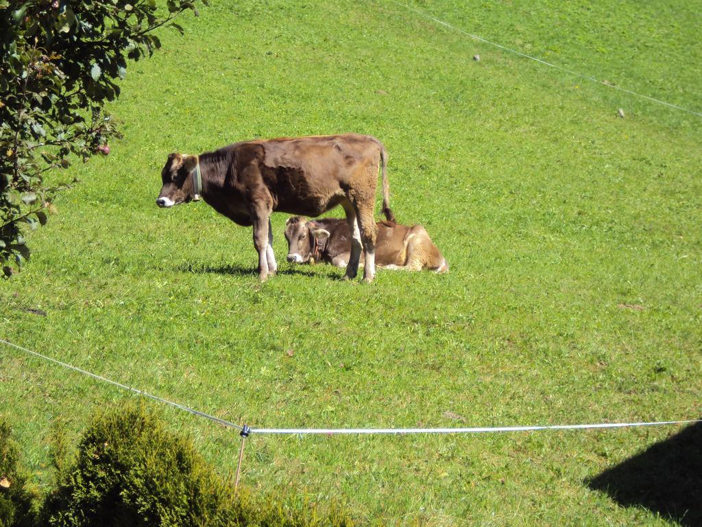 Haus Eben Appartamento Hippach Esterno foto