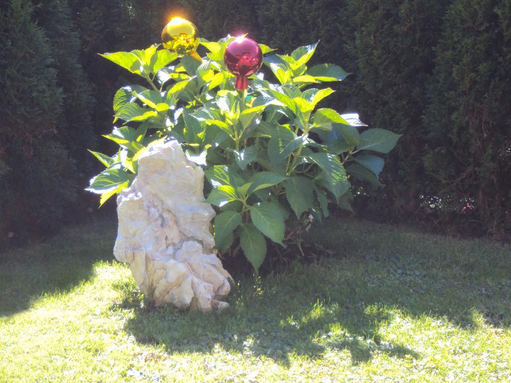 Haus Eben Appartamento Hippach Esterno foto